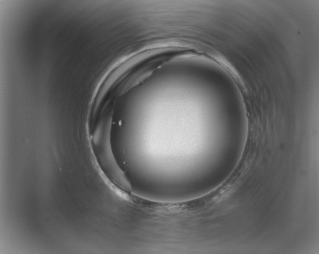 X0000071760813200607071234