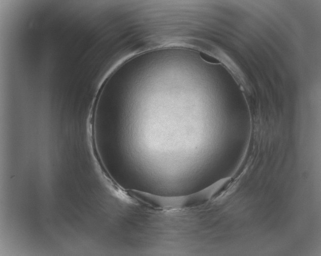 X0000071760814200607071234