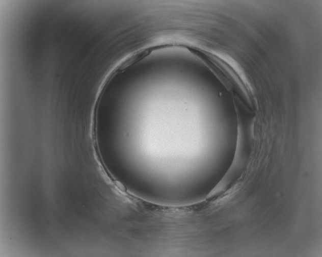 X0000071760815200607071234