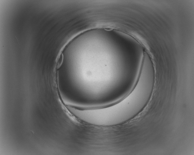 X0000071760816200607071234