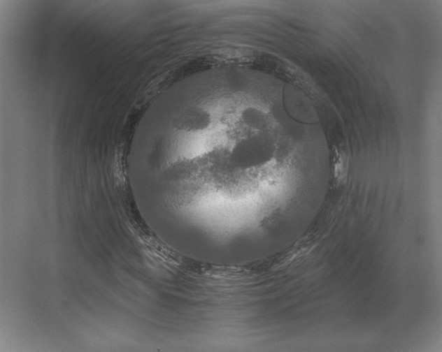 X0000071760819200607071233