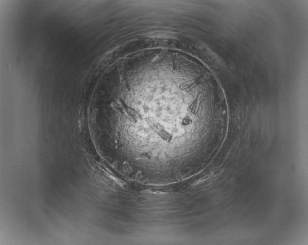 X0000071760821200607071233