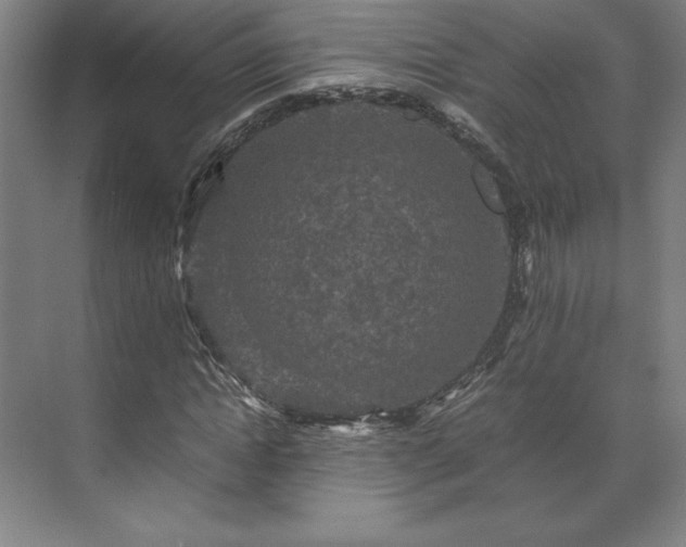 X0000071760822200607071233