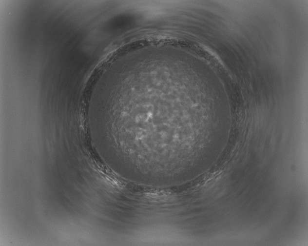 X0000071760823200607071233