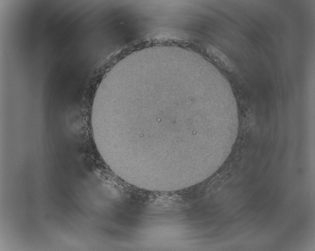 X0000071760824200607071233