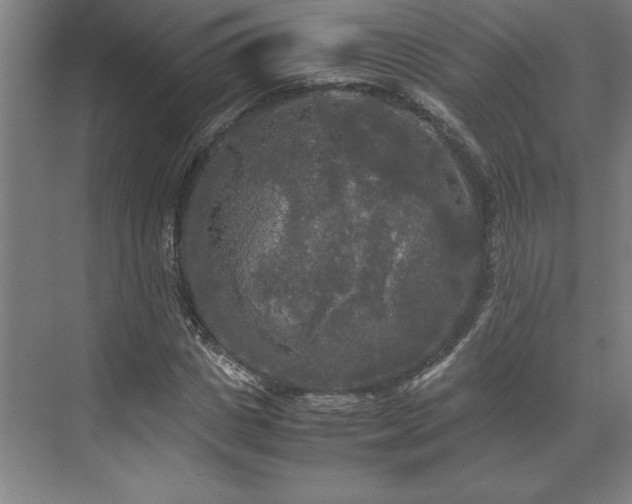 X0000071760825200607071233