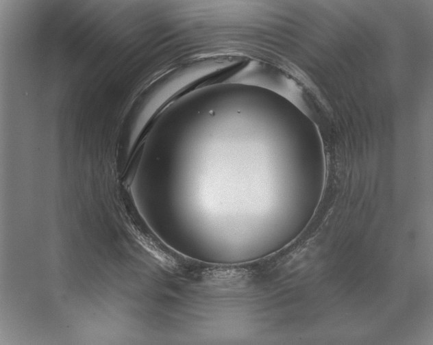 X0000071760826200607071233