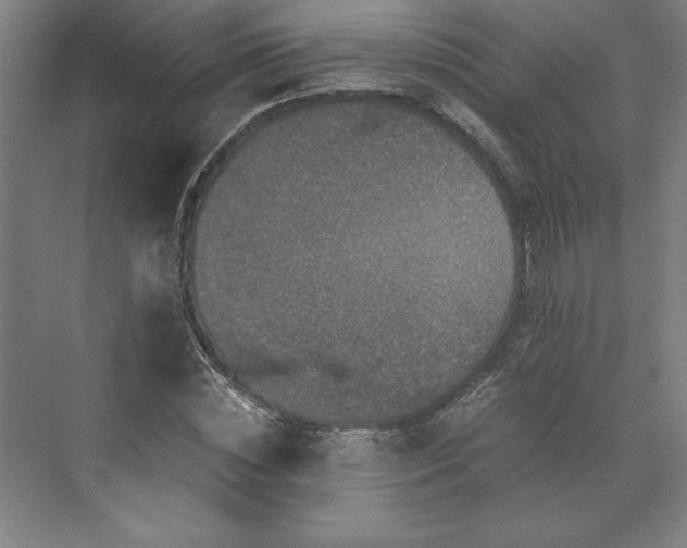 X0000071760828200607071233