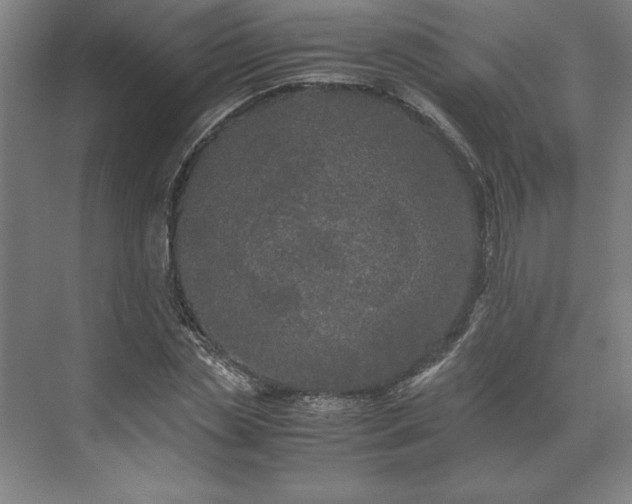 X0000071760829200607071233