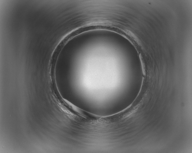 X0000071760830200607071233