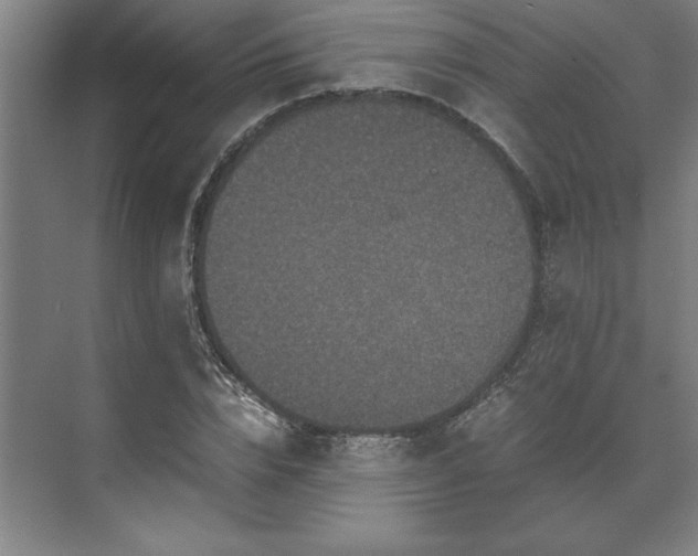 X0000071760832200607071234