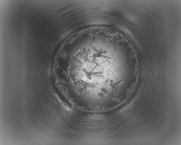 X0000071760833200607071234