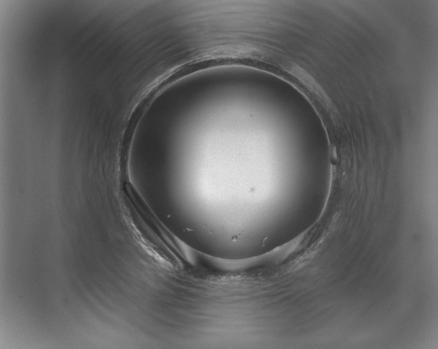 X0000071760834200607071234