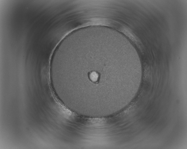 X0000071760836200607071234