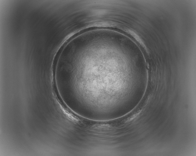 X0000071760837200607071234