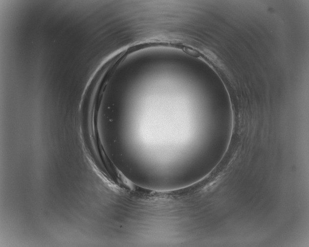 X0000071760838200607071234