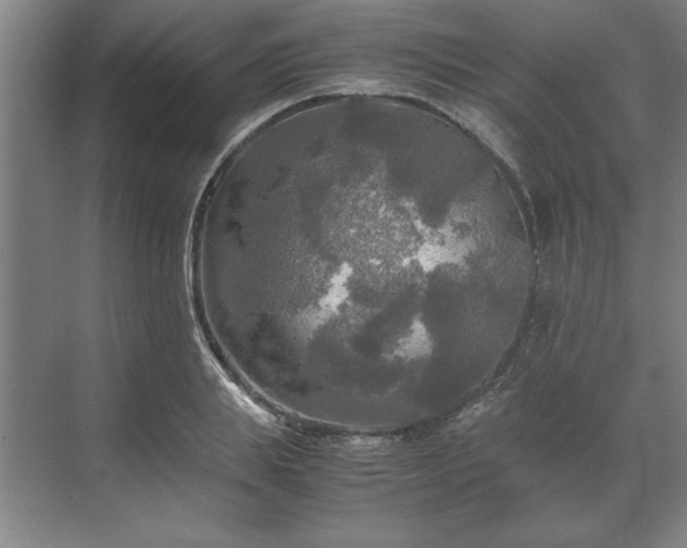 X0000071760839200607071234