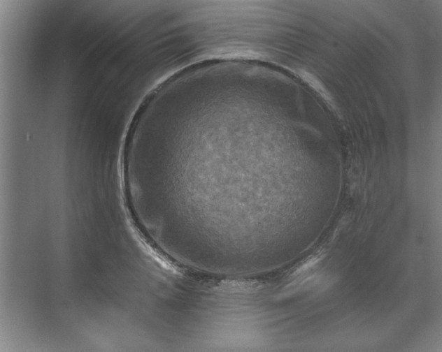 X0000071760840200607071234