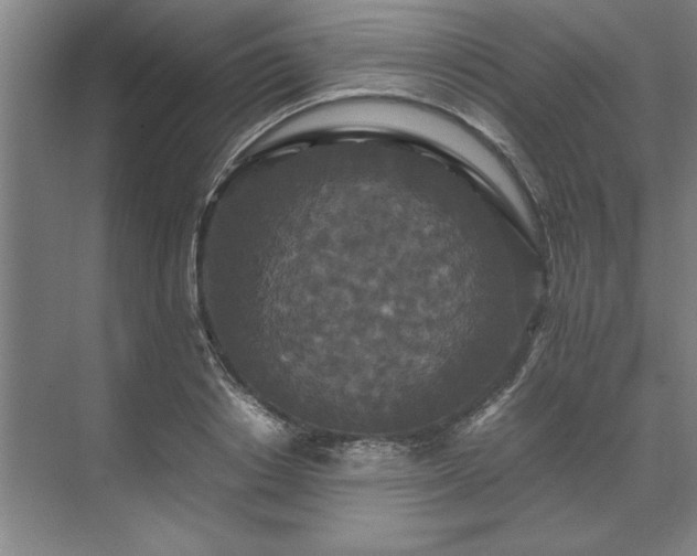 X0000071760842200607071234