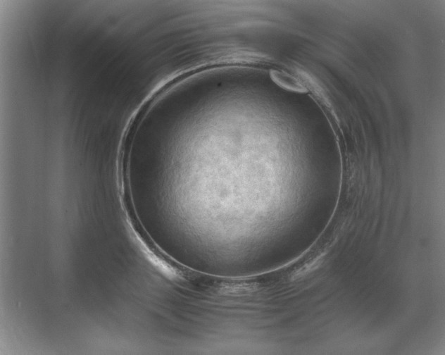 X0000071760843200607071234