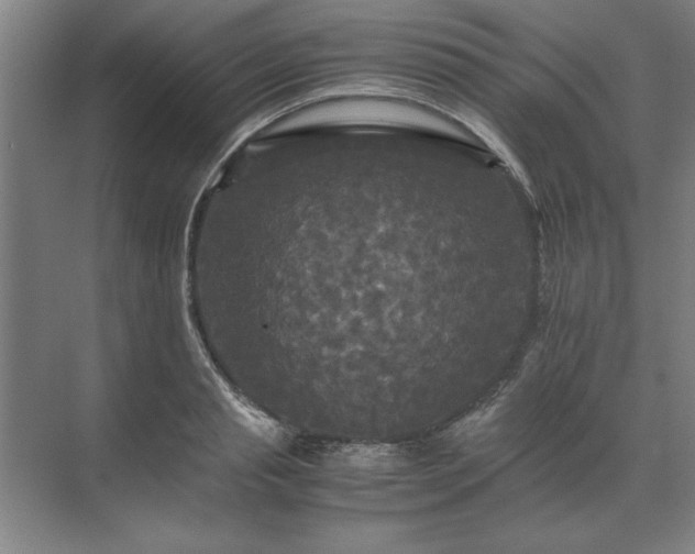 X0000071760845200607071234