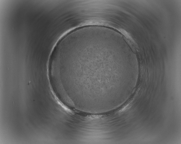 X0000071760846200607071234