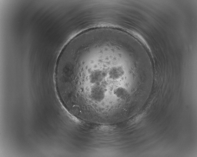 X0000071760847200607071234