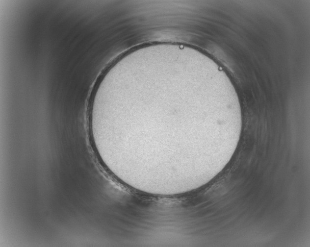 X0000071760848200607071234