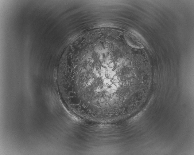 X0000071760849200607071234