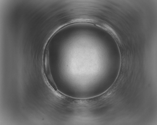 X0000071760852200607071234