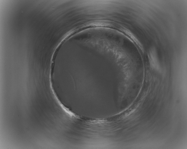 X0000071760853200607071234