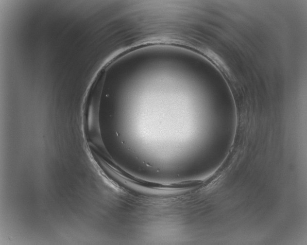 X0000071760854200607071234