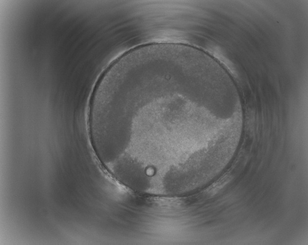 X0000071760856200607071234