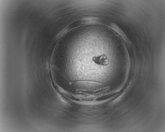 X0000071760857200607071234