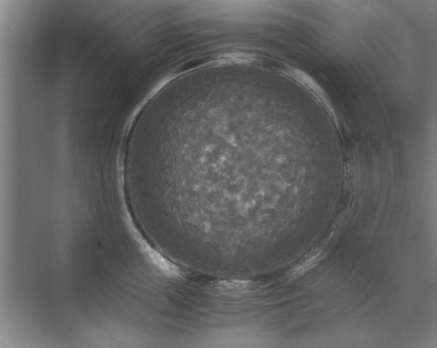 X0000071760859200607071234