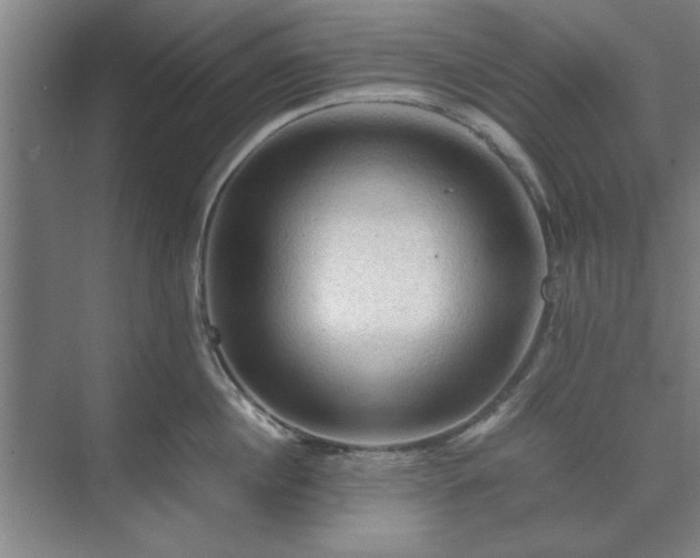 X0000071760860200607071234