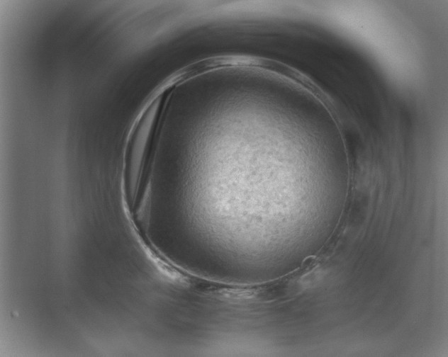 X0000071760861200607071234