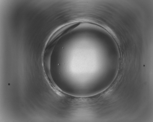 X0000071760862200607071234