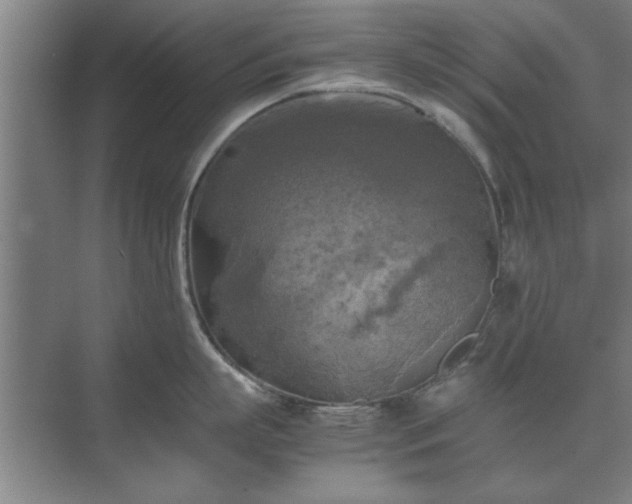 X0000071760863200607071234