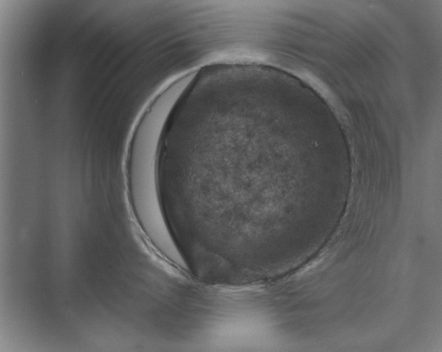 X0000071760864200607071234