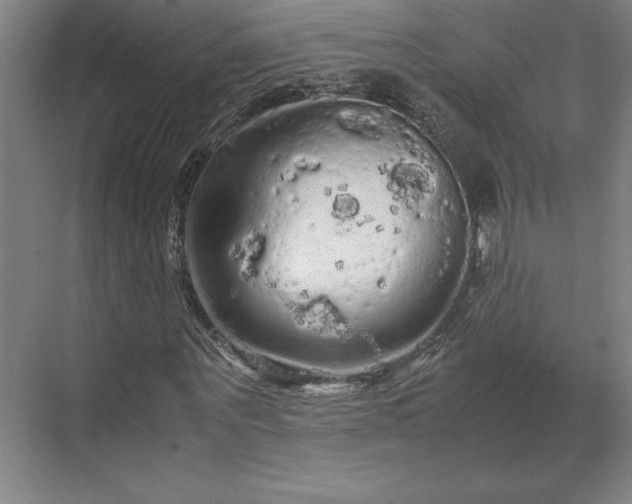 X0000071760867200607071233