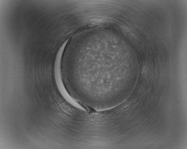 X0000071760868200607071233