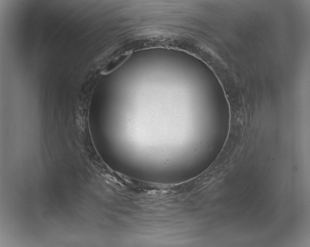 X0000071760869200607071233