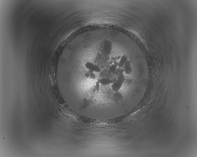 X0000071760871200607071233