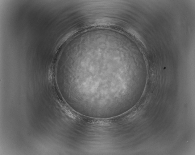 X0000071760874200607071233