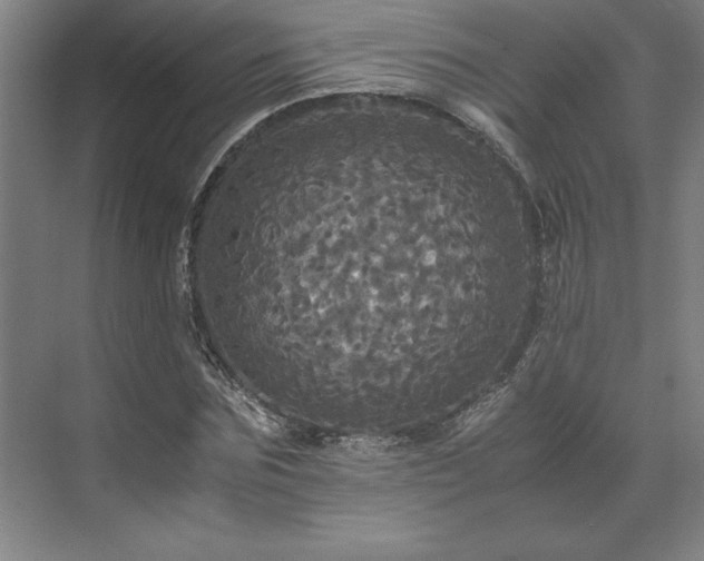 X0000071760875200607071233