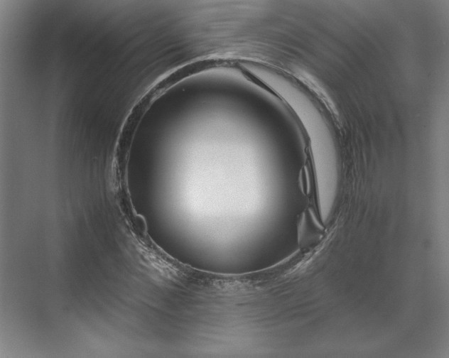 X0000071760876200607071233