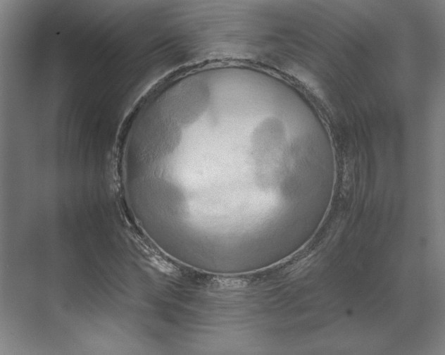 X0000071760878200607071233