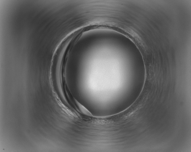 X0000071760880200607071233