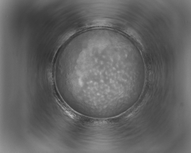 X0000071760882200607071233